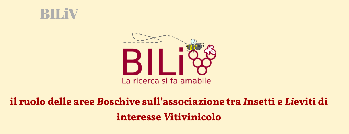 Il ruolo delle aree Boschive sull’associazione tra Insetti e Lieviti di interesse Vitivinicolo